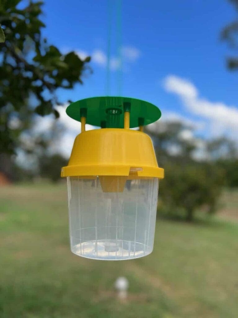 Plastic insect trap with yellow top, clear container, outdoors against greenery and blue sky.